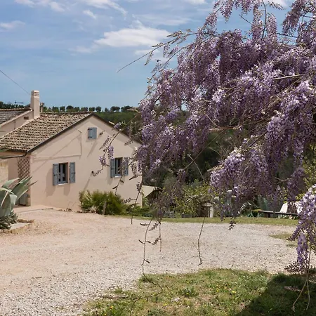 Appartement Oliva *